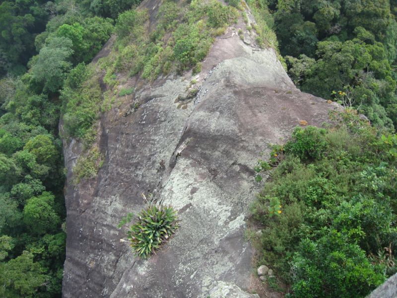 Papagaio (13) drop off again